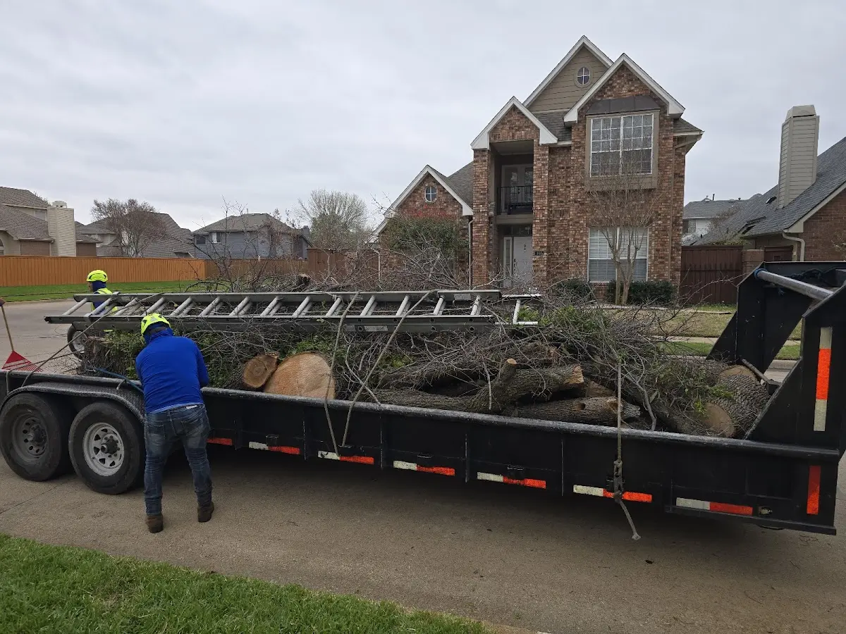 Expert Tree Fertilization with proper safety equipment in West Helena